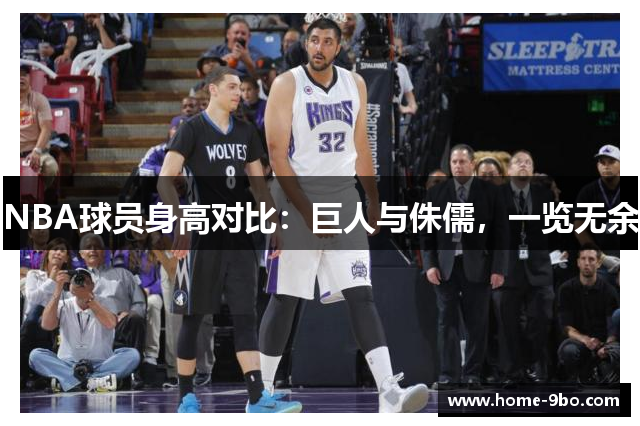 NBA球员身高对比：巨人与侏儒，一览无余